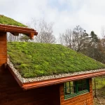 Qué tipo de plantas son adecuadas para un tejado verde